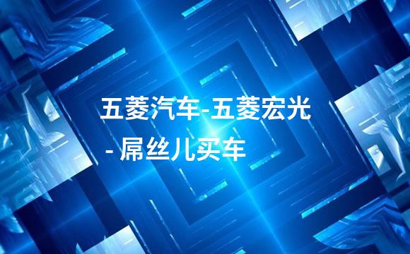 五菱汽车-五菱宏光 - 屌丝儿买车